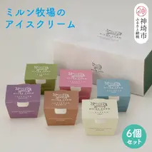 佐賀脊振高原ミルン牧場のアイスクリーム6個セット【手作り 濃厚 生乳 ミルク バニラ 抹茶 チョコ ストロベリー ラムレーズン】(H102121)