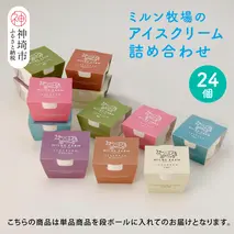 佐賀脊振高原ミルン牧場のアイスクリーム24個セット【手作り 濃厚 生乳 ミルク バニラ 抹茶 チョコ ストロベリー ラムレーズン】(H102123)
