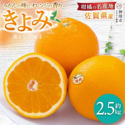 先行受付 令和8年3月より発送】佐賀県産柑橘『清見』約2500g【フルーツ