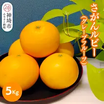 【2026年3月中旬より発送開始】さがんルビー 5kg(グレープフルーツ)【柑橘 フルーツ デザート ジューシー リフレッシュ】(H116149)
