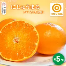 【2026年3月上旬より発送開始】にじゅうまる 約5kg バラ入りお徳用【佐賀県 みかん 柑橘 果物 くだもの フルーツ】(H116162)