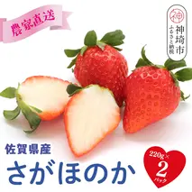 【R8年1月より発送 農家直送】さがほのか220g×2パック【いちご 苺 イチゴ 果物 フルーツ スイーツ デザート ふるさと納税】(H117101)