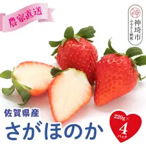 【R8年1月より発送 農家直送】さがほのか220g×4パック【いちご 苺 イチゴ 果物 フルーツ スイーツ デザート ふるさと納税】(H117102)