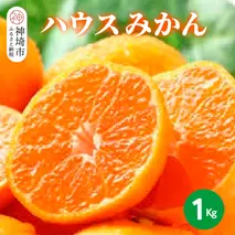 【2026年6月上旬より発送開始】ハウスみかん 1kg【みかん 冷凍みかん 柑橘 フルーツ デザート】(H116138)