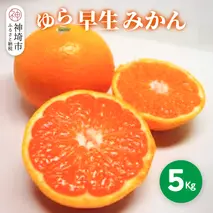 【2026年9月下旬より発送開始】ゆら早生みかん 5kg【みかん 柑橘 フルーツ デザート】(H116140)