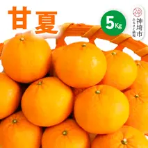 【2026年4月中旬より発送開始】甘夏 5kg【みかん 柑橘 フルーツ デザート】(H116143)