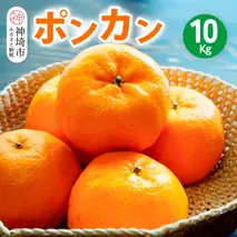 【2026年1月上旬より発送開始】ポンカン 10kg【みかん 柑橘 フルーツ デザート 貯蔵 高糖度】(H116147)