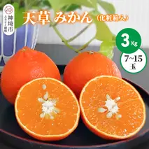 【2025年12月上旬より発送開始】天草(あまくさ)みかん 7～15玉 3kg(化粧箱入り)【みかん 柑橘 フルーツ デザート 果汁 手土産】(H116154)		
