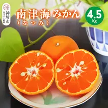 【2026年4月上旬より発送開始】南津海(なつみ)みかん 4.5kg【みかん 柑橘 オレンジ ポンカン フルーツ デザート 果汁】(H116156)