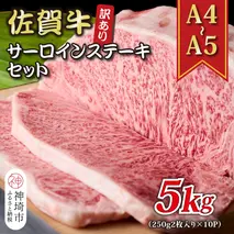 訳あり！【A4～A5】佐賀牛サーロインステーキセット 5kg(250g 2枚入り×10P)【肉 牛肉 ブランド牛 黒毛和牛 ふるさと納税】(H112130)