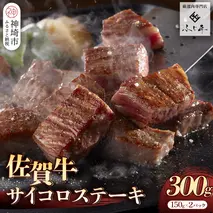 【厳選肉専門店 ふじ匠】佐賀牛サイコロステーキ【肉 牛肉 ブランド牛 黒毛和牛 サーロイン ふるさと納税】(H114101)