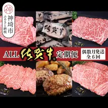 【偶数月発送 全6回定期便】ALL佐賀牛定期便【サーロインステーキ 赤身焼き肉 ハンバーグ カルビ焼肉 100%ハンバーグ ロースステーキ バラエティ豊か】(H118112)