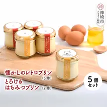 【えこびと】懐かしのレトロプリン・とろけるはちみつプリン5個セット【スイーツ プリン プリン県佐賀 プリンマップ】(H037138)