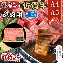 【12か月定期便】艶さし！【A4～A5】佐賀牛焼肉用 500g×12回【肉 牛肉 ブランド牛 黒毛和牛 ふるさと納税】(H112168）