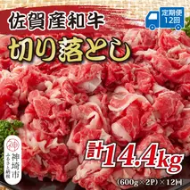 【12か月定期便】訳あり！佐賀産和牛切り落とし 1.2kg(600g×2P)×12回【肉 牛肉 ブランド牛 黒毛和牛 ふるさと納税】(H112320)