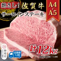 【12か月定期便】艶さし！【A4～A5】佐賀牛サーロインステーキセット 1kg(250g×4枚)×12回【肉 牛肉 ブランド牛 黒毛和牛 ステーキ肉 ふるさと納税】(H112198）