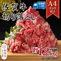 【12か月定期便】艶さし！【A4～A5】佐賀牛切り落とし 1kg(500g×2P)×12回【肉 牛肉 ブランド牛 黒毛和牛 ふるさと納税】(H112314)