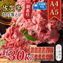 【6か月定期便】訳あり！【A4～A5】佐賀牛切り落とし 5kg(500g×10P)×6回【肉 牛肉 ブランド牛 黒毛和牛 ふるさと納税】(H112325)