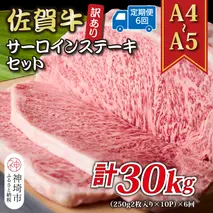 【6か月定期便】訳あり！【A4～A5】佐賀牛サーロインステーキセット 5kg(250g2枚入り×10P)×6回【肉 牛肉 ブランド牛 黒毛和牛 ふるさと納税】(H112221)