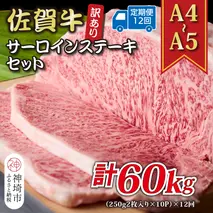 【12か月定期便】訳あり！【A4～A5】佐賀牛サーロインステーキセット 5kg(250g2枚入り×10P)×12回【肉 牛肉 ブランド牛 黒毛和牛 ふるさと納税】(H112222)
