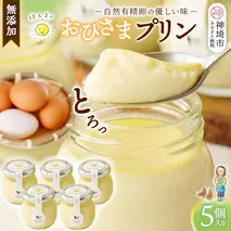 おひさまプリン5個セット 【スイーツ 平飼い 無添加 有精卵 ミルン牧場 牛乳 プリン県 プリンマップ】(H073108)