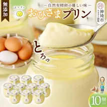 おひさまプリン10個セット 【スイーツ 平飼い 無添加 有精卵 ミルン牧場 牛乳 プリン県 プリンマップ】(H073109)
