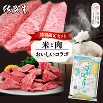 【3回定期便】特別限定セット さがびよりと佐賀牛 おいしいコラボ【米 ブランド米 肉 牛肉 ブランド牛 ヒレ サーロイン ステーキ肉】(H996P116)