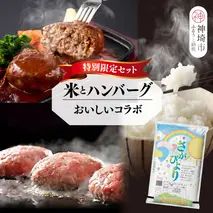 【2回定期便】特別限定セット さがびよりと佐賀牛ハンバーグ おいしいコラボ【米 ブランド米 肉 牛肉 ブランド牛 ハンバーグ お手軽】(H996P117)