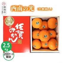 【2025年12月上旬より発送開始】西南の光 2.5kg(化粧箱入り)【みかん 柑橘 フルーツ デザート βクリプトキサンチン 手土産】(H116150)