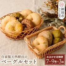 【定期便3回】自家製天然酵母のベーグルセット【パンと器のコネル】 【パンと器のコネル もっちりベーグル 国産小麦 パン 自家製 天然酵母 玄米麹 朝食 おやつ】(H094118)