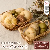 【定期便6回】自家製天然酵母のベーグルセット【パンと器のコネル】 【パンと器のコネル もっちりベーグル 国産小麦 パン 自家製 天然酵母 玄米麹 朝食 おやつ】(H094121)