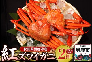 男鹿沖産紅ズワイガニ 550g 前後×2杯 男鹿なび 蟹 カニ 国産 秋田 ずわい蟹 ずわいガニ|10060