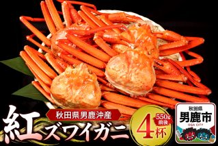 男鹿沖産紅ズワイガニ 550g 前後×4杯 男鹿なび 蟹 カニ 国産 秋田 ずわい蟹 ずわいガニ|10061
