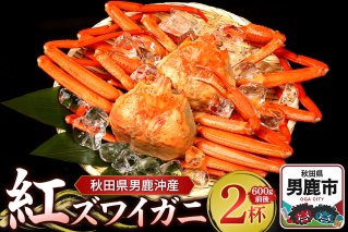 男鹿沖産紅ズワイガニ 600g 前後×2杯 男鹿なび 蟹 カニ 国産 秋田 ずわい蟹 ずわいガニ|10062