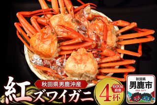男鹿沖産紅ズワイガニ 600g 前後×4杯 男鹿なび 蟹 カニ 国産 秋田 ずわい蟹 ずわいガニ|10063