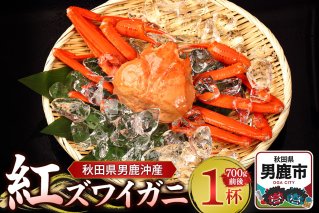 男鹿沖産紅ズワイガニ 700g 前後×1杯 男鹿なび 蟹 カニ 国産 秋田 ずわい蟹 ずわいガニ|10064