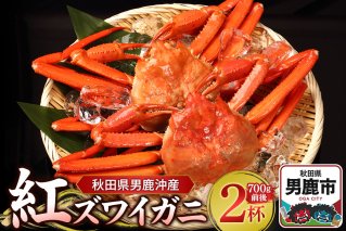 男鹿沖産紅ズワイガニ 700g 前後×2杯 男鹿なび 蟹 カニ 国産 秋田 ずわい蟹 ずわいガニ|10065