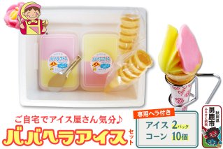ババヘラ・アイスセット [タッパアイス2パック（1,000ml×2）、コーン10個、専用ヘラ1個]【進藤冷菓】ご当地アイス|10163