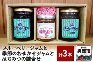 ブルーベリージャムと季節のおまかせジャムとはちみつの詰合せ（合計3本）男鹿ぶるーべりーガーデン 秋田県 男鹿市|10204