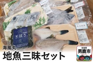 海風丸「地魚三昧セット」 秋田県 男鹿市 漬け魚 一夜干し|10228
