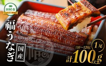 国産 福うなぎ 蒲焼 (110g〜120g) 1尾