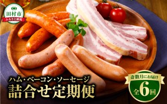 【奇数月にお届け全6回】ハム ・ ベーコン ・ ソーセージ 詰合せ 定期便 定期 セット やまと豚 DLG 金賞 おかず 焼くだけ のし 熨斗 ギフト お歳暮 プレゼント 人気 ランキング おすすめ 厳選定期 福島県 福島 田村市 田村 ふくしま たむら ハム工房都路