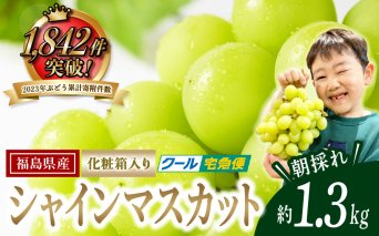 【 先行予約 2025年発送 】 シャインマスカット 1.3kg 冷蔵 種無し 種なし シャインマスカット ぶどう 品種 果物 甘い 巨峰 美味しい 希少 人気 ランキング おすすめ イチオシ 福島県 田村市 ふくしま 福島 鈴木農園