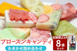 【定期便2ヶ月】フローズンキャンディ おまかせ詰め合わせ 8本セット（2ヶ月連続発送）合計16本 ゴンタロー|10151