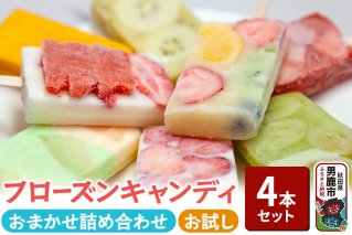 フローズンキャンディ おまかせ 4本 お試しセット ゴンタロー 秋田県 男鹿市 ゴンタロー|10153