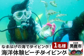【なまはげの海でダイビング！！】 海洋体験ビーチダイビング 1名様 秋田県 男鹿半島 男鹿市|10198