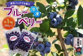 【男鹿ぶるーべりーガーデン】 冷凍ブルーベリー 500g×2パック（合計1kg）秋田県 男鹿市|10203