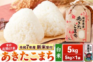《令和7年産 新米受付》【白米】家計お助け米 あきたこまち 5kg 秋田県 男鹿市 こまちライン|10346