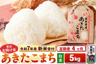 《令和7年産 新米受付》《定期便4ヶ月》【白米】家計お助け米 あきたこまち 5kg|10708