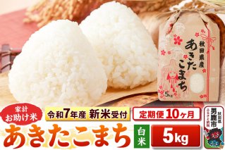 《令和7年産 新米受付》《定期便10ヶ月》【白米】家計お助け米 あきたこまち 5kg|10714